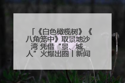 《白色橄榄树》《八角笼中》取景地沙湾 凭借“景、城、人”火爆出圈丨新闻发布最前线