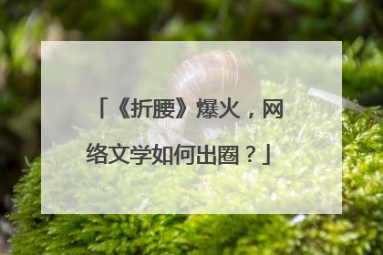 《折腰》爆火，网络文学如何出圈？