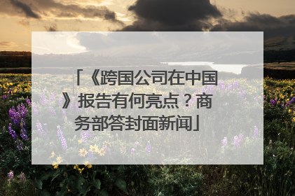 《跨国公司在中国》报告有何亮点？商务部答封面新闻