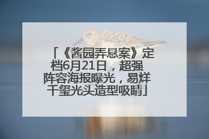 《酱园弄悬案》定档6月21日，超强阵容海报曝光，易烊千玺光头造型吸睛