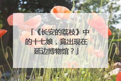 《长安的荔枝》中的十七娘，竟出现在延边博物馆？
