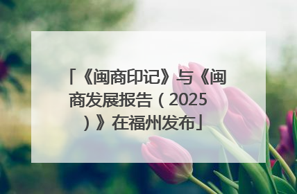 《闽商印记》与《闽商发展报告（2025）》在福州发布