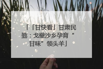 「甘快看」甘肃民勤：戈壁沙乡孕育“甘味”领头羊