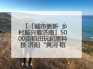 「城市更新· 乡村振兴看济南」5000亩稻田玩起黑科技 济阳“黄河·稻乡湾”靠“非遗+露营”火出圈