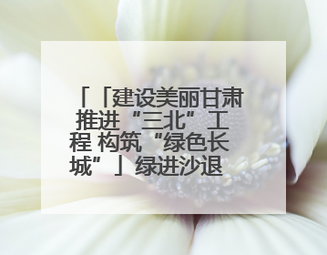「建设美丽甘肃 推进“三北”工程 构筑“绿色长城”」绿进沙退 生态蝶变 张掖市多措并举加大防沙治沙力度