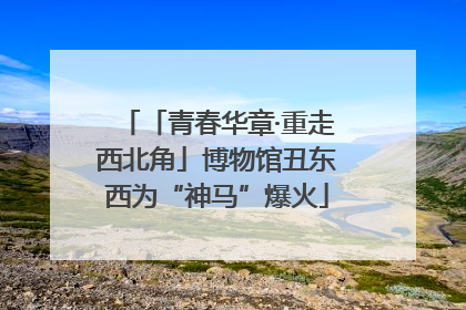 「青春华章·重走西北角」博物馆丑东西为“神马”爆火