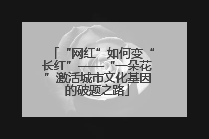 “网红”如何变“长红”——“一朵花”激活城市文化基因的破题之路