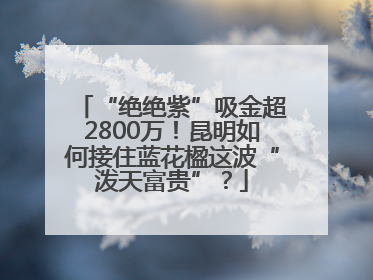 “绝绝紫”吸金超2800万！昆明如何接住蓝花楹这波“泼天富贵”？
