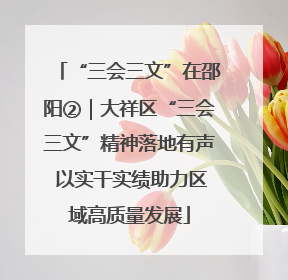 “三会三文”在邵阳②｜大祥区“三会三文”精神落地有声 以实干实绩助力区域高质量发展