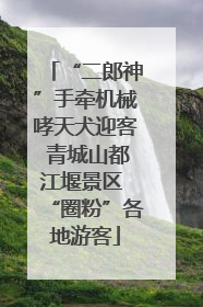 “二郎神”手牵机械哮天犬迎客 青城山都江堰景区 “圈粉”各地游客