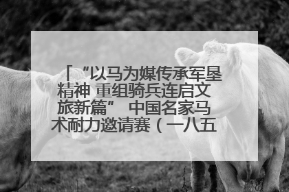 “以马为媒传承军垦精神 重组骑兵连启文旅新篇” 中国名家马术耐力邀请赛（一八五团站）暨重启骑兵连活动正式启动