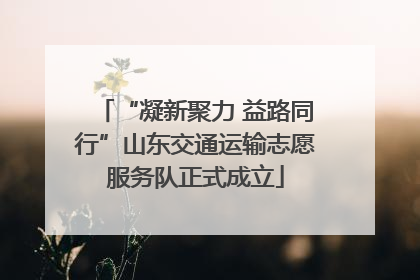 “凝新聚力 益路同行”山东交通运输志愿服务队正式成立