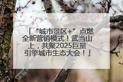 “城市景区+”点燃全新营销模式！武当山上，共聚2025巨量引擎城市生态大会！
