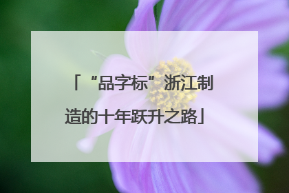“品字标”浙江制造的十年跃升之路