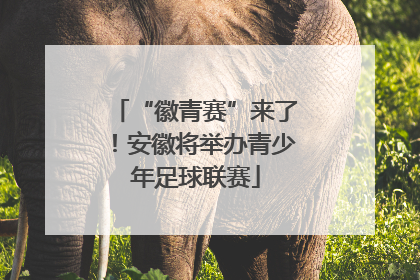 “徽青赛”来了！安徽将举办青少年足球联赛