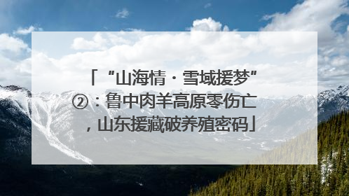 “山海情・雪域援梦”②：鲁中肉羊高原零伤亡，山东援藏破养殖密码