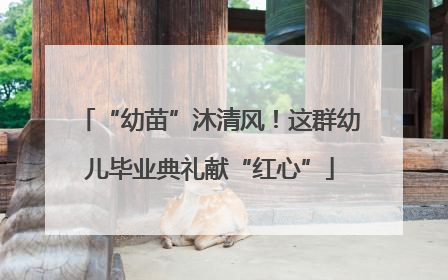 “幼苗”沐清风！这群幼儿毕业典礼献“红心”