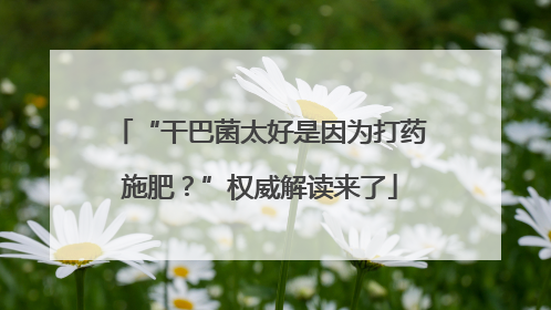“干巴菌太好是因为打药施肥？”权威解读来了