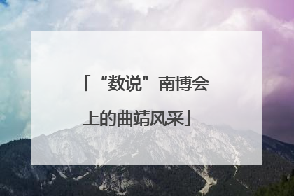 “数说”南博会上的曲靖风采