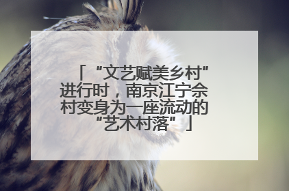 “文艺赋美乡村”进行时，南京江宁佘村变身为一座流动的“艺术村落”