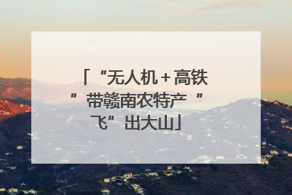 “无人机＋高铁”带赣南农特产“飞”出大山