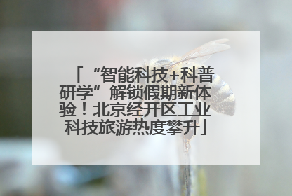 “智能科技+科普研学”解锁假期新体验！北京经开区工业科技旅游热度攀升