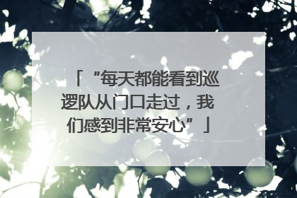 “每天都能看到巡逻队从门口走过，我们感到非常安心”