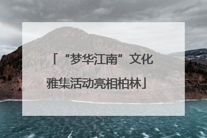 “梦华江南”文化雅集活动亮相柏林