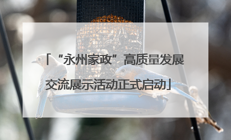 “永州家政”高质量发展交流展示活动正式启动