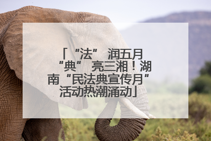 “法” 润五月 “典” 亮三湘！湖南“民法典宣传月”活动热潮涌动