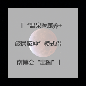 “温泉医康养+旅居腾冲”模式借南博会“出圈”