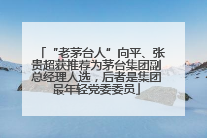 “老茅台人”向平、张贵超获推荐为茅台集团副总经理人选，后者是集团最年轻党委委员