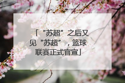 “苏超”之后又见“苏超”，篮球联赛正式官宣