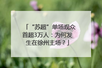 “苏超”单场观众首超3万人：为何发生在徐州主场？