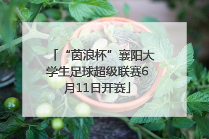 “茵浪杯”襄阳大学生足球超级联赛6月11日开赛