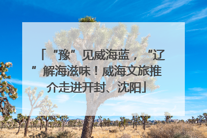 “豫”见威海蓝，“辽”解海滋味！威海文旅推介走进开封、沈阳