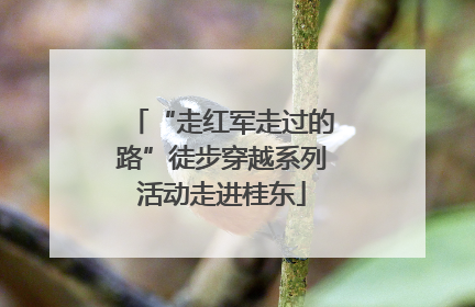 “走红军走过的路”徒步穿越系列活动走进桂东