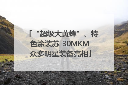 “超级大黄蜂”、特色涂装苏-30MKM 众多明星装备亮相