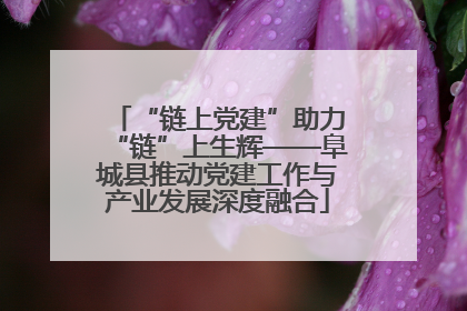 “链上党建”助力“链”上生辉——阜城县推动党建工作与产业发展深度融合