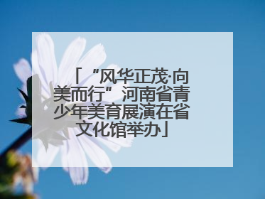 “风华正茂·向美而行”河南省青少年美育展演在省文化馆举办