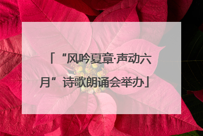“风吟夏章·声动六月”诗歌朗诵会举办