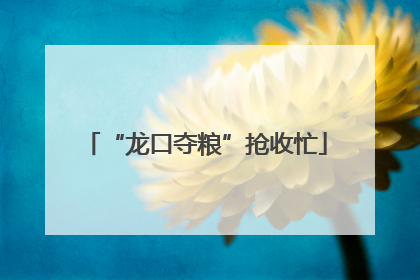 “龙口夺粮”抢收忙