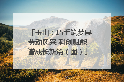玉山：巧手筑梦展劳动风采 科创赋能谱成长新篇（图）