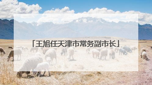 王旭任天津市常务副市长