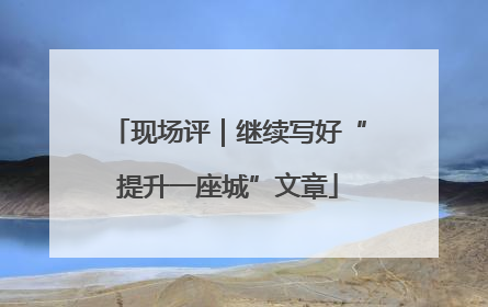 现场评｜继续写好“提升一座城”文章