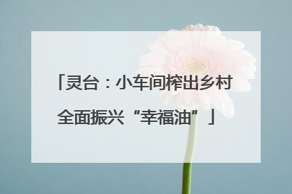 灵台：小车间榨出乡村全面振兴“幸福油”