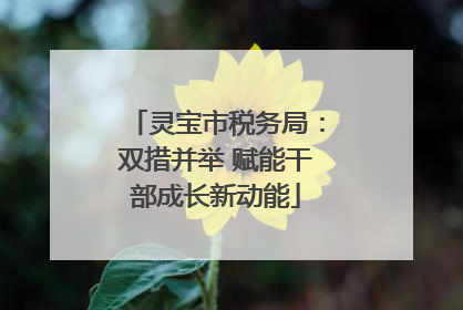 灵宝市税务局：双措并举 赋能干部成长新动能