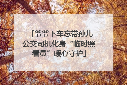 爷爷下车忘带孙儿 公交司机化身“临时照看员”暖心守护