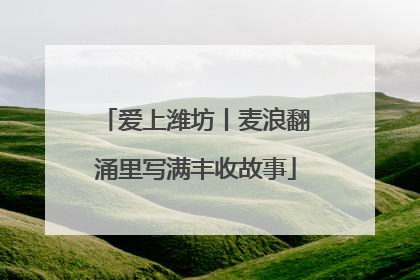 爱上潍坊丨麦浪翻涌里写满丰收故事