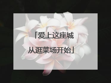 爱上这座城 从逛菜场开始